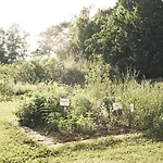 Sturm Bio- & Wellnesshotel In Der Rhoen Mellrichstadt