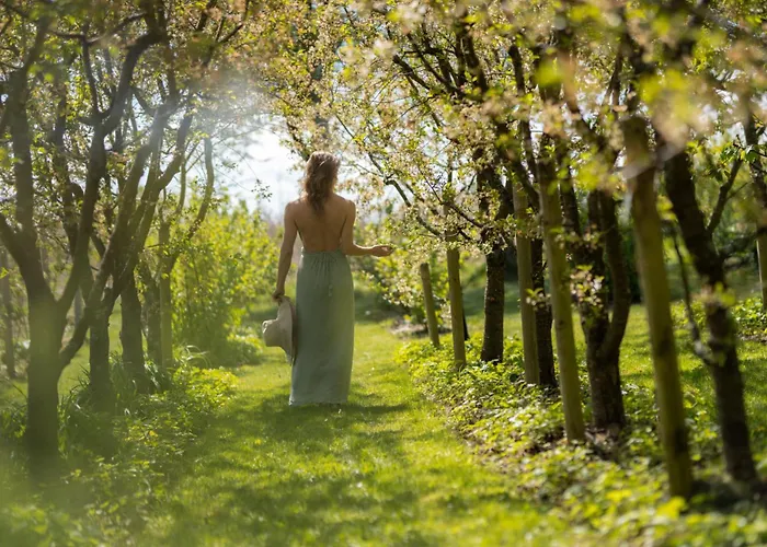 Sturm Bio- & Wellnesshotel In Der Rhoen ホテル